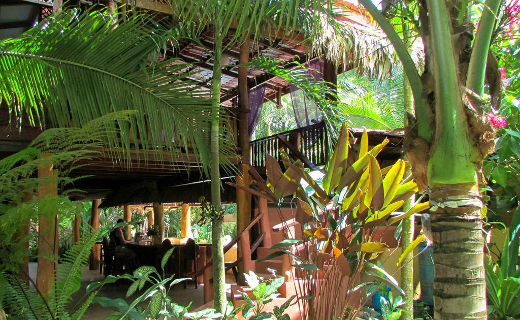 Caribe Town Bungalows Puerto Viejo de Talamanca エクステリア 写真