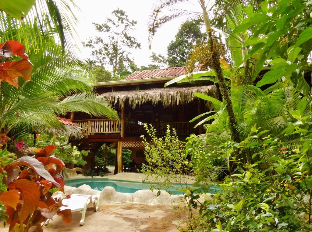 Caribe Town Bungalows Puerto Viejo de Talamanca エクステリア 写真