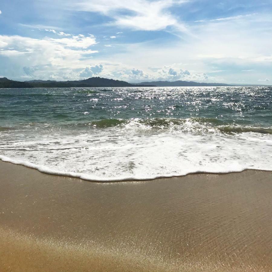 Caribe Town Bungalows Puerto Viejo de Talamanca エクステリア 写真