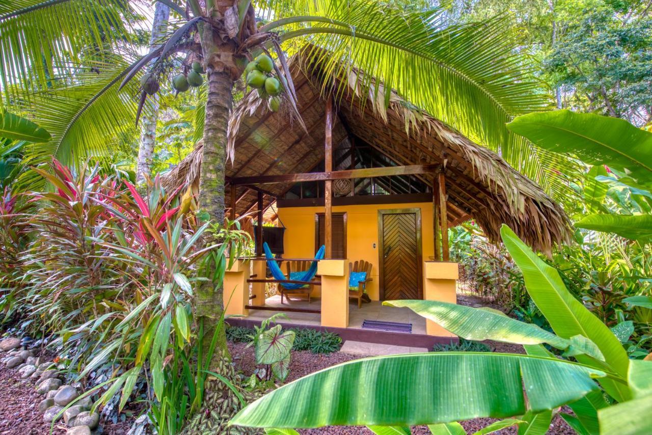 Caribe Town Bungalows Puerto Viejo de Talamanca エクステリア 写真