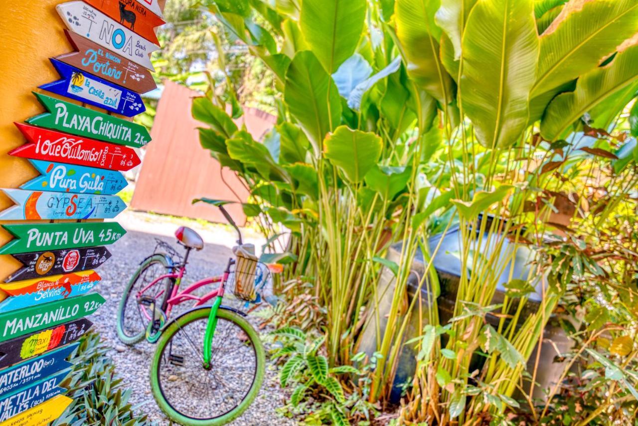 Caribe Town Bungalows Puerto Viejo de Talamanca エクステリア 写真